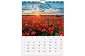 Kalender - Mayland Vægkalender Dansk natur 2027 - 27066650