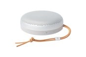 Bærbare & Fest Højtalere - Bang & Olufsen BeoSound A1 (3rd Gen) - Natural Aluminium - 1736002