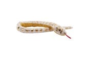 Plys - Wild Republic Plush Toy Snakes 137 cm Foil Lemon Blast Ball Python - 27597