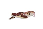 Plys - Wild Republic Plush Toy Snakes 137 cm Blunt Headed Imantodes Cenchoa - 28409