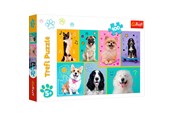 Puslespil - Trefl Puzzle - In the world of dogs (100 pieces) - TFL16421