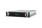 Server - Hewlett Packard Enterprise HPE ProLiant DL385 Gen11 - P53925-B21