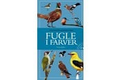 Natur & Videnskab - Fugle i farver - Natur & Videnskab - Hæftet - 9788740008692