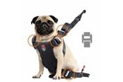 Hunde - Zolux Travel Safe Isofix Car Safety Harness Black Small 7-15kg - 3336024621202
