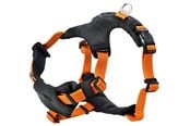 Hunde - Dogman Emmi - 213704