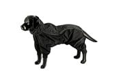 Hunde - Dogman Dot - 757032