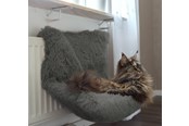 Katte - Dogman 804960 dog / cat bed - 804960