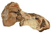 Hunde - Dogman Okse knokkelben - 480688
