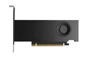 Grafikkort - Dell RTX PRO 2000 Blackwell Workstation Edition - 16GB GDDR7 RAM - Grafikkort - DELL-818KR