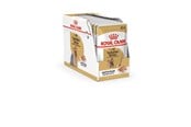 Hunde - Royal Canin Yorkshire Terrier Adult 12x85 g - 9003579001431