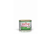 Hunde - Royal Canin Starter Mousse Mother & Baby Dog - 9003579311462