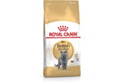 Katte - Royal Canin British Shorthair - dry cat food - 2 kg - 3182550756419