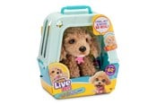 Plys - Little Live Pets - My Really Real Puppy - Curley - 26612