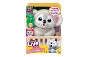 Legesæt - Little Live Pets MY BABY KOALA - 26840
