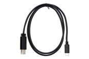 USB kabel - Targus - USB-C cable - USB-C to USB Type B - 1 m - ACC924EUX