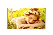 Infoskærme & Digital Skiltning - LG 86UL5Q 86" UHD ADS 500 NITS 24/7 SOC WIFI - 86UL5Q-E