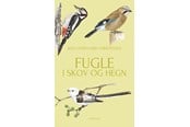 Natur & Videnskab - Fugle i skov og hegn book - Natur & Videnskab - Hæftet - 9788702434118