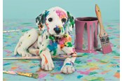 Puslespil - Clementoni Puzzle HQC The Funny Dalmatian 500 pieces Floor - 35150