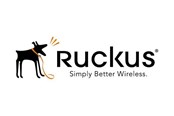Service & support - Ruckus Wireless Ruckus BullDog Support - S24-VSCG-1L00