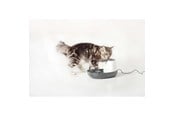 Katte - Nobby Drikke fontæne Cascade 1.5 L - L72144
