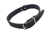 Hunde - Nobby Halsbånd TABIL 50 cm (41-46 cm) 20 mm Sort - L80923-05