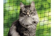 Katte - Nobby Sikkerhedsnet til katte L 8x3 m - L80107