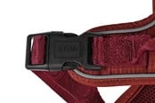Hunde - 51 Degrees North 51 - Wanderful - H Harness - Trail - Burgundy - XX - 51AWFHT201