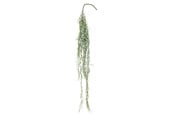 Boligindretning - Bloomingville Tilandsia - 82061497