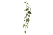 Boligindretning - Bloomingville Anthurium - 82061498