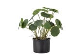 Boligindretning - Bloomingville Copper - 82061504