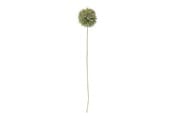 Boligindretning - Bloomingville Allium - 82061466
