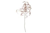 Boligindretning - Bloomingville Eucalyptus - 82061470