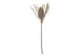 Boligindretning - Bloomingville Palmflower - 82061471