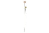 Boligindretning - Bloomingville Phlox - 82061506