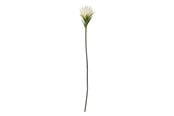 Boligindretning - Bloomingville Lily - 82061508