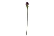 Boligindretning - Bloomingville Lily - 82061512