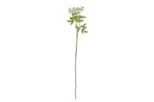 Boligindretning - Bloomingville Fennel - 82061513