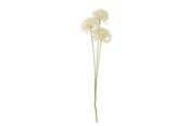Boligindretning - Bloomingville Allium - 82061516