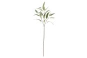 Boligindretning - Bloomingville Eucalyptus - 82061520