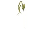 Boligindretning - Bloomingville Foxtail - 82061539