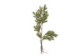 Boligindretning - Bloomingville Pine - 82072352