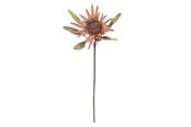 Boligindretning - Bloomingville Protea - 82072832