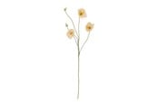 Boligindretning - Bloomingville Poppy - 82072833