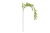 Boligindretning - Bloomingville Reed - 82072842