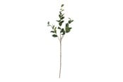 Boligindretning - Bloomingville Eucalyptus - 82072850