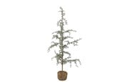 Boligindretning - Bloomingville Vita - 82052639