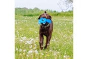Hunde - Nobby Bæver Floating - L61512