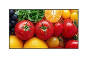 Infoskærme & Digital Skiltning - Neovo AG QM5503 QM Series - 55" Class (54.6" viewable) LED-backlit LCD display - 4K - for digital signage - QM5530011M0000