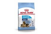 Hunde - Royal Canin Maxi Starter Mother & Babydog - 3182550778787