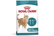 Katte - Royal Canin ROYAL AGEING 11+ STERILISED Dry Food Cat Senior 1 - 3182551066036